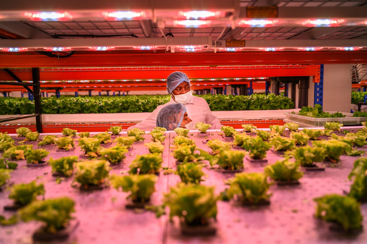 City Programme | Unseen Photo